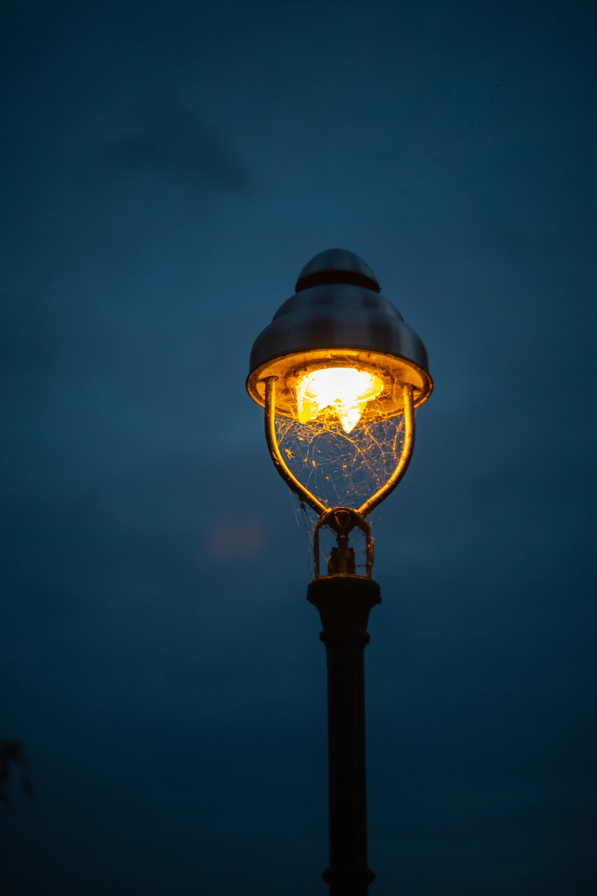 Street Photography - Image 3